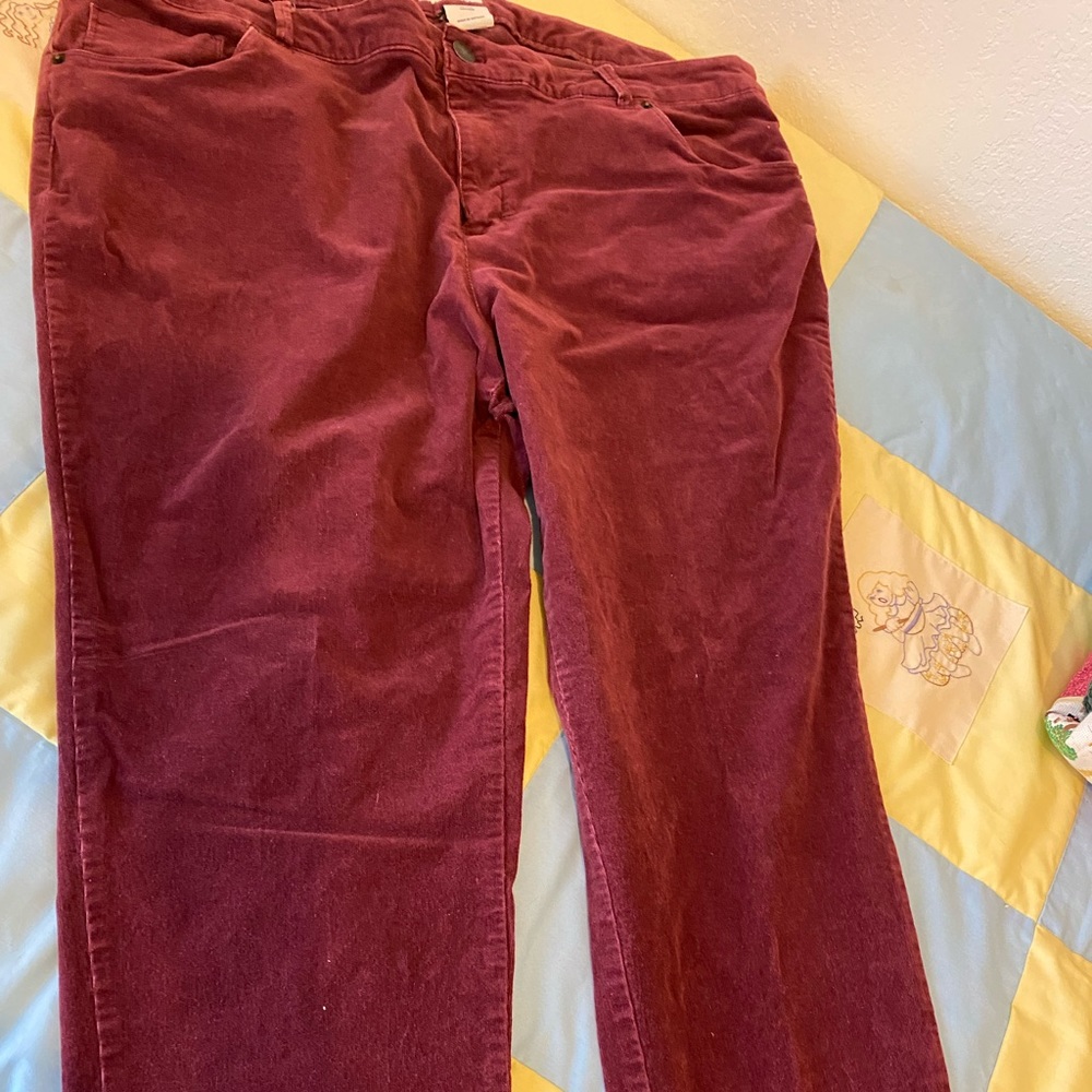 Ava Viv, size 22w, corduroy pants
